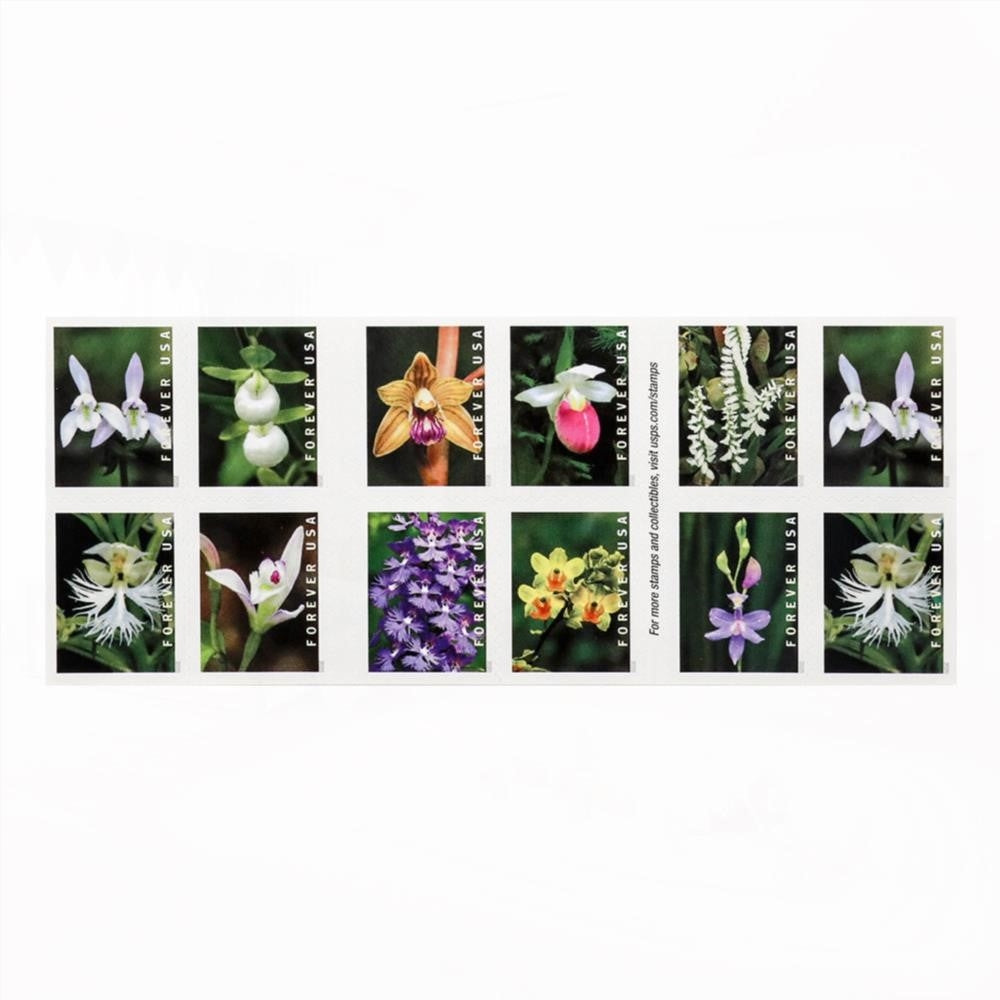 100Pcs U.S. 2021 Wild Orchids Framed Forever Stamps