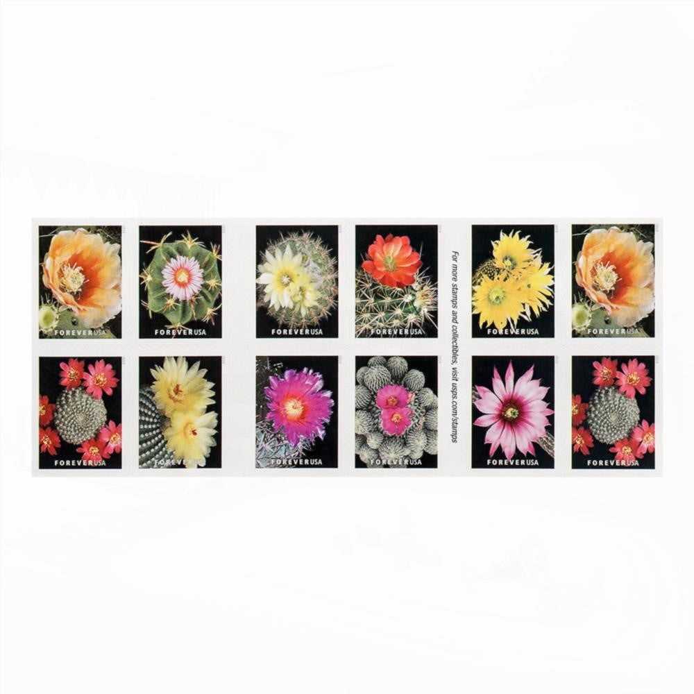 100Pcs U.S. 2019 Cactus Forever Stamps