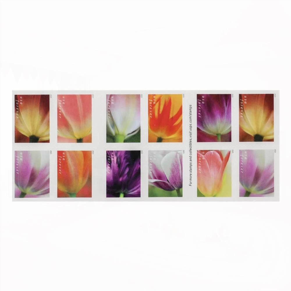 100Pcs 2023 US First-Class Forever Stamps - Tulip Blossoms booklet