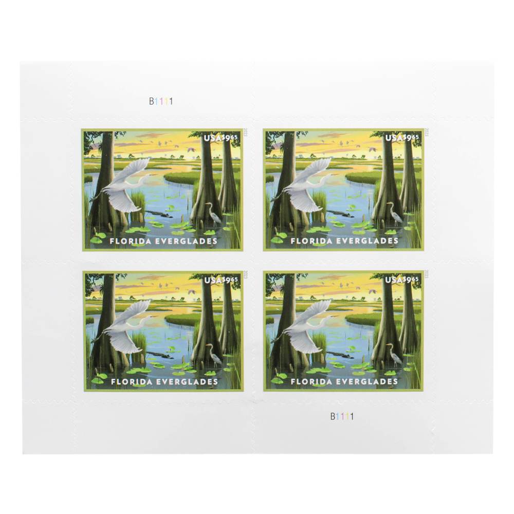 100Pcs US Florida Everglades MNH 2023 Priority Stamp