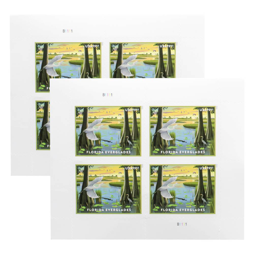 100Pcs US Florida Everglades MNH 2023 Priority Stamp