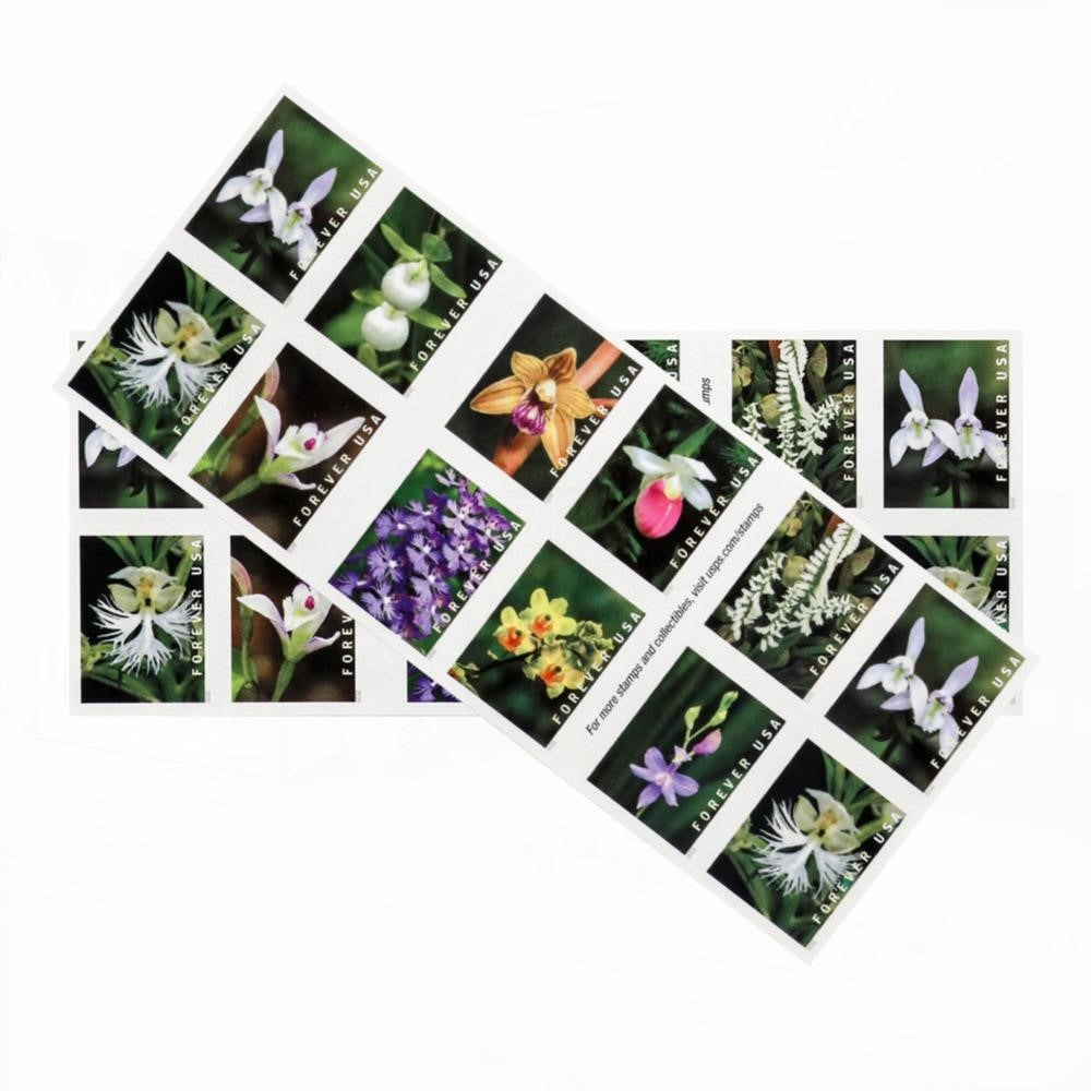 100Pcs U.S. 2021 Wild Orchids Framed Forever Stamps