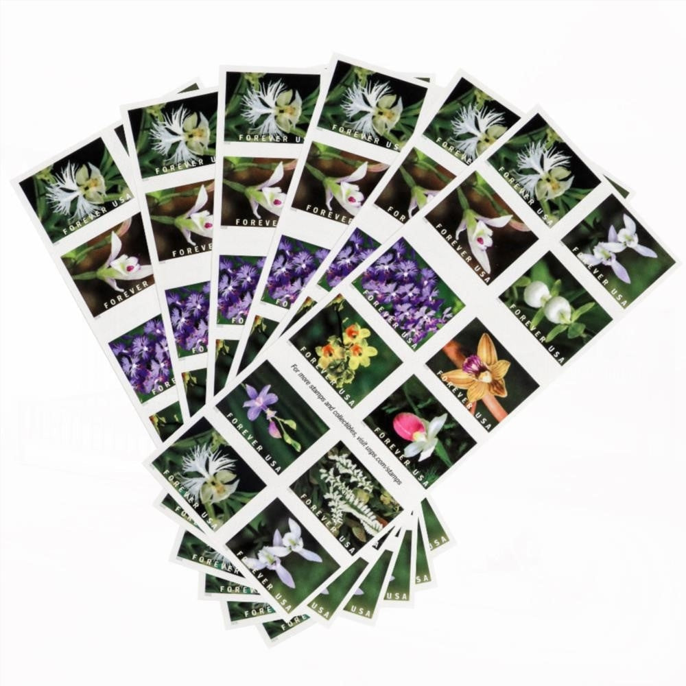 100Pcs U.S. 2021 Wild Orchids Framed Forever Stamps