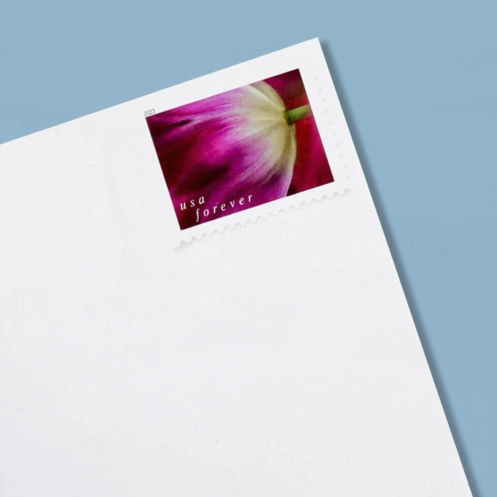 100Pcs 2023 US First-Class Forever Stamps - Tulip Blossoms booklet
