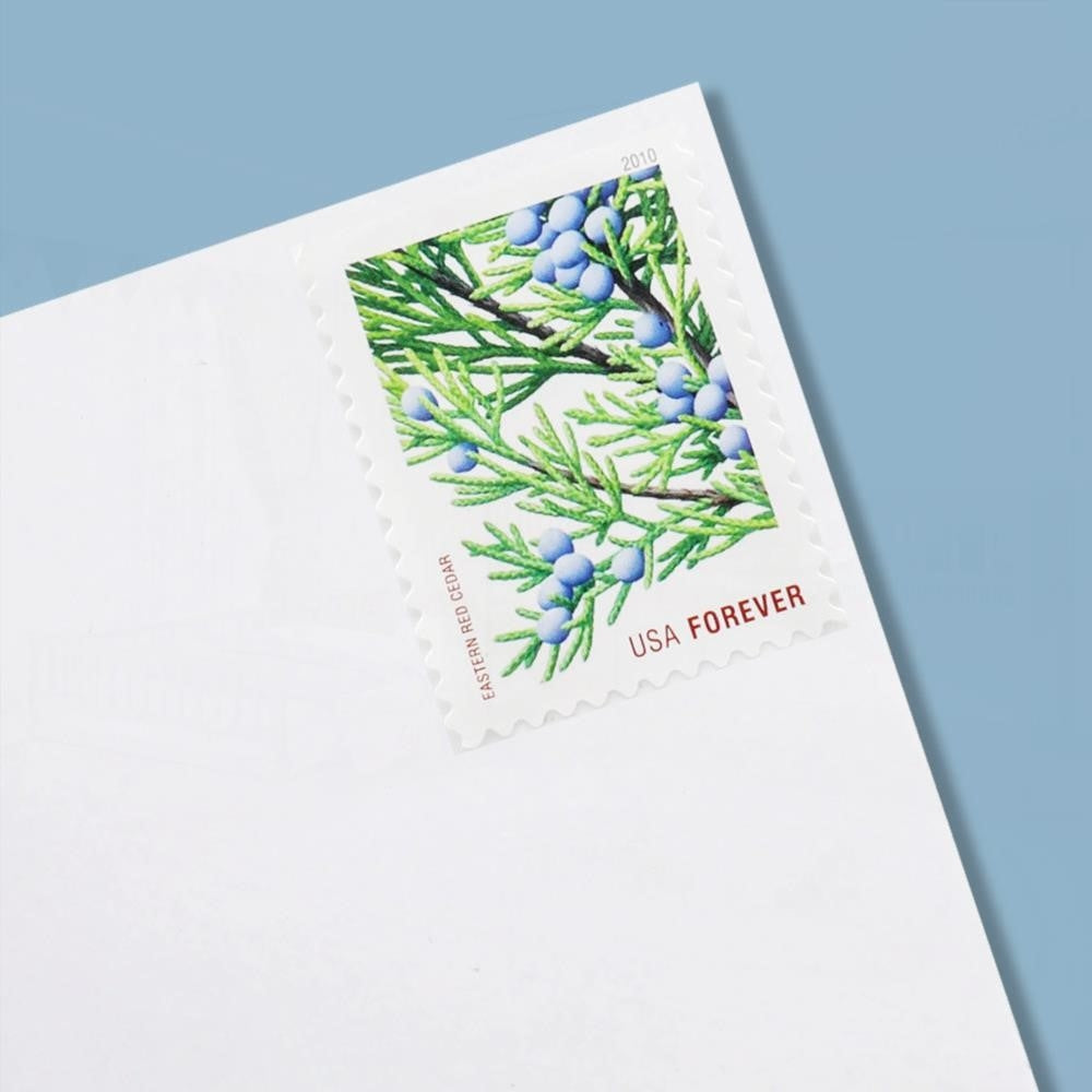 100Pcs 2010 Holiday Evergreens Forever First Class Postage Stamps