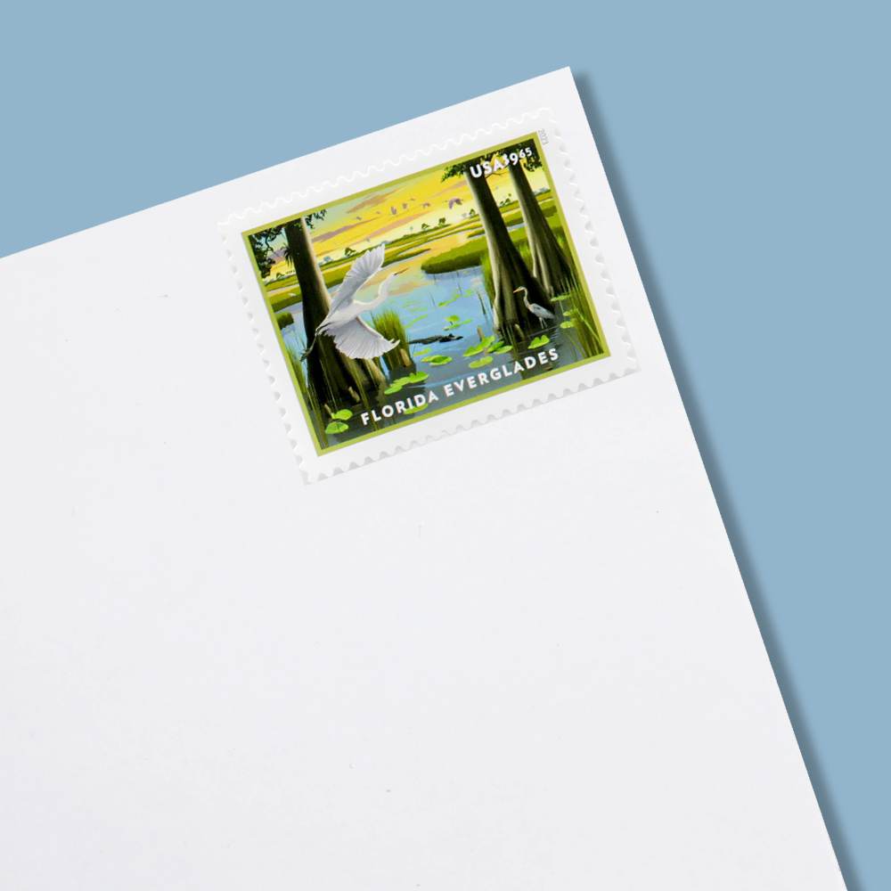 100Pcs US Florida Everglades MNH 2023 Priority Stamp