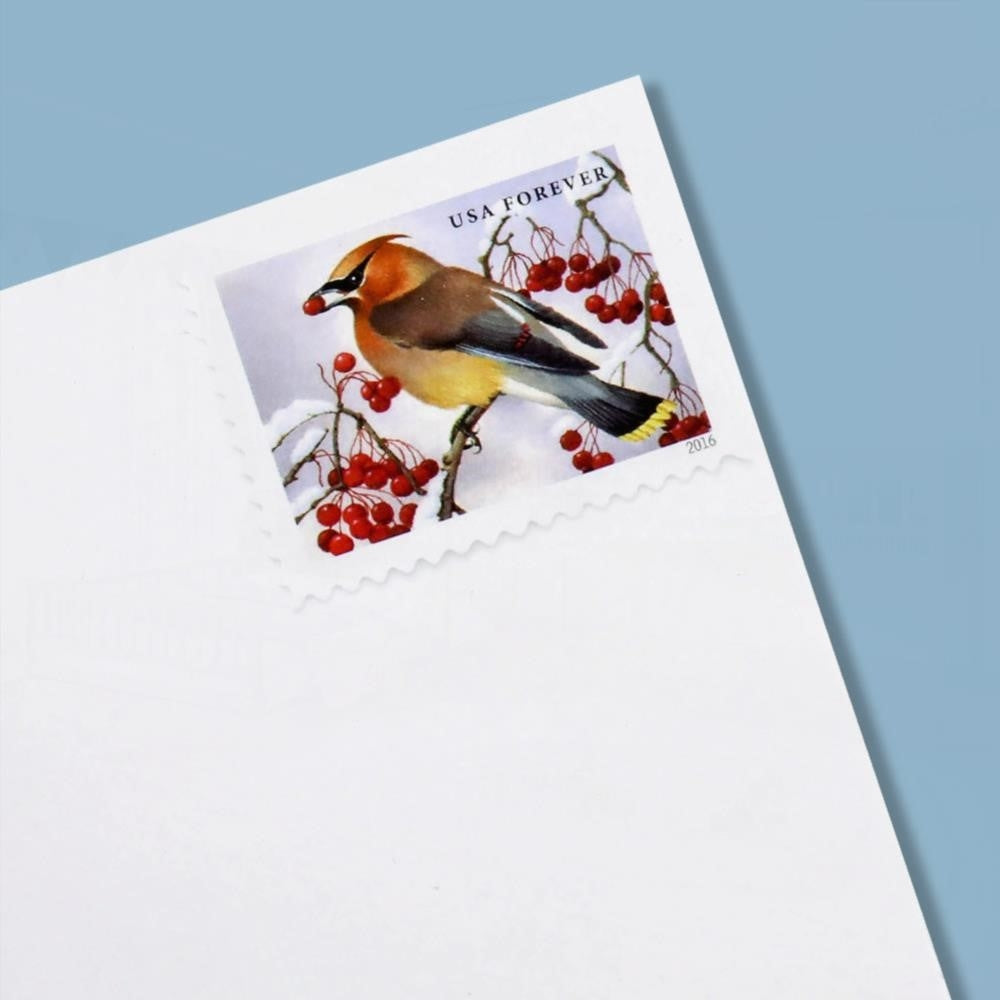 100Pcs 2016 US First-Class Forever Stamp - Songbirds in Snow