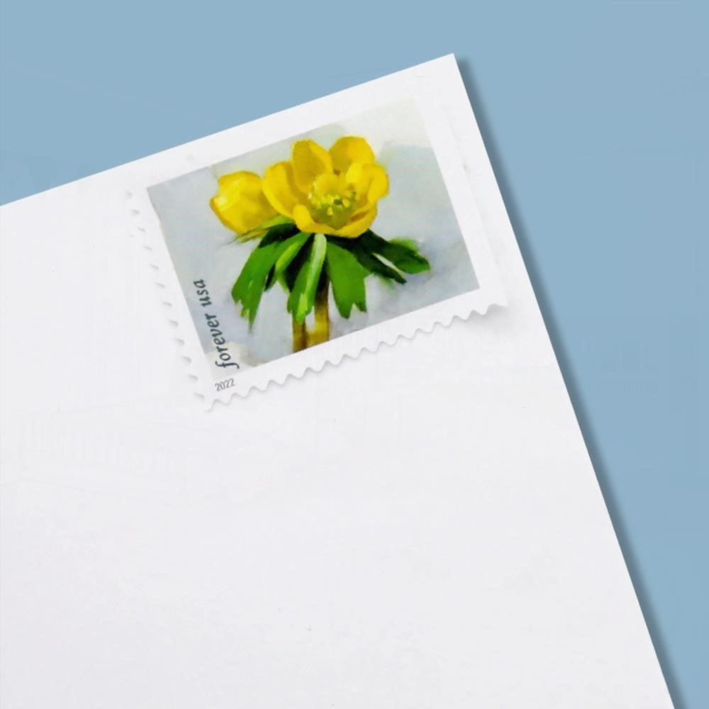 100Pcs 2022 First-Class Forever Stamp - Snowy Beauty: Winter Aconite