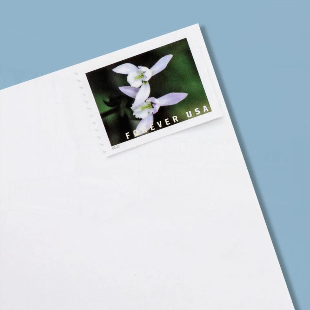100Pcs U.S. 2021 Wild Orchids Framed Forever Stamps