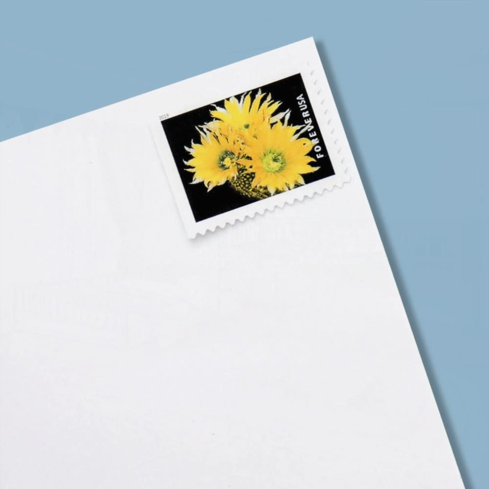 100Pcs U.S. 2019 Cactus Forever Stamps