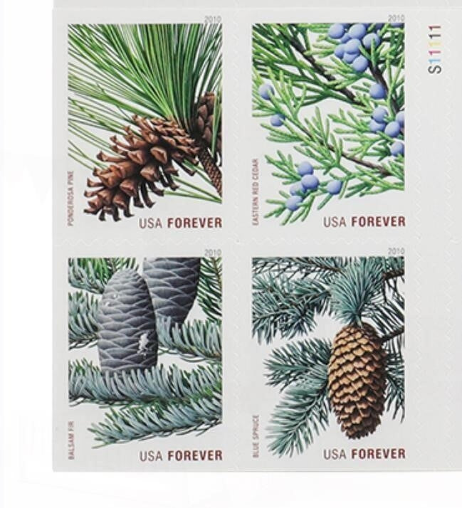 100Pcs 2010 Holiday Evergreens Forever First Class Postage Stamps