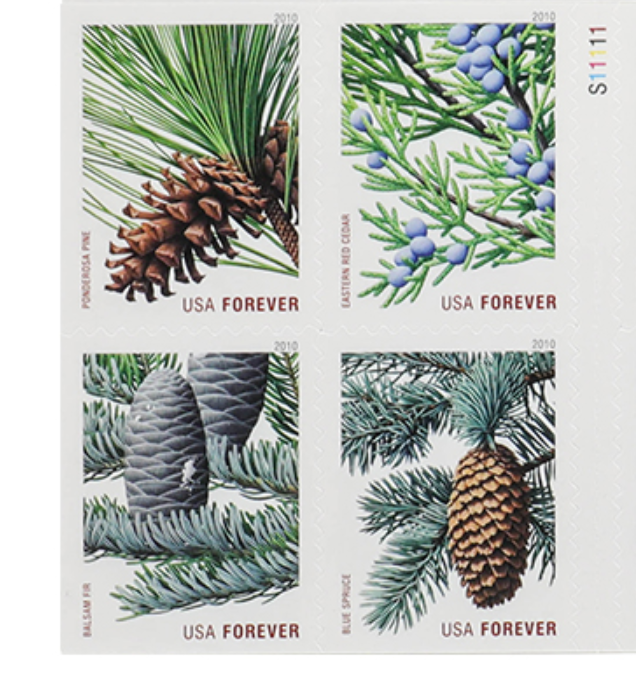 100Pcs 2010 Holiday Evergreens Forever First Class Postage Stamps
