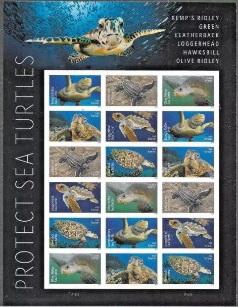 80Pcs 2024 US Protect Sea Turtles Forever First Class Postage Stamps