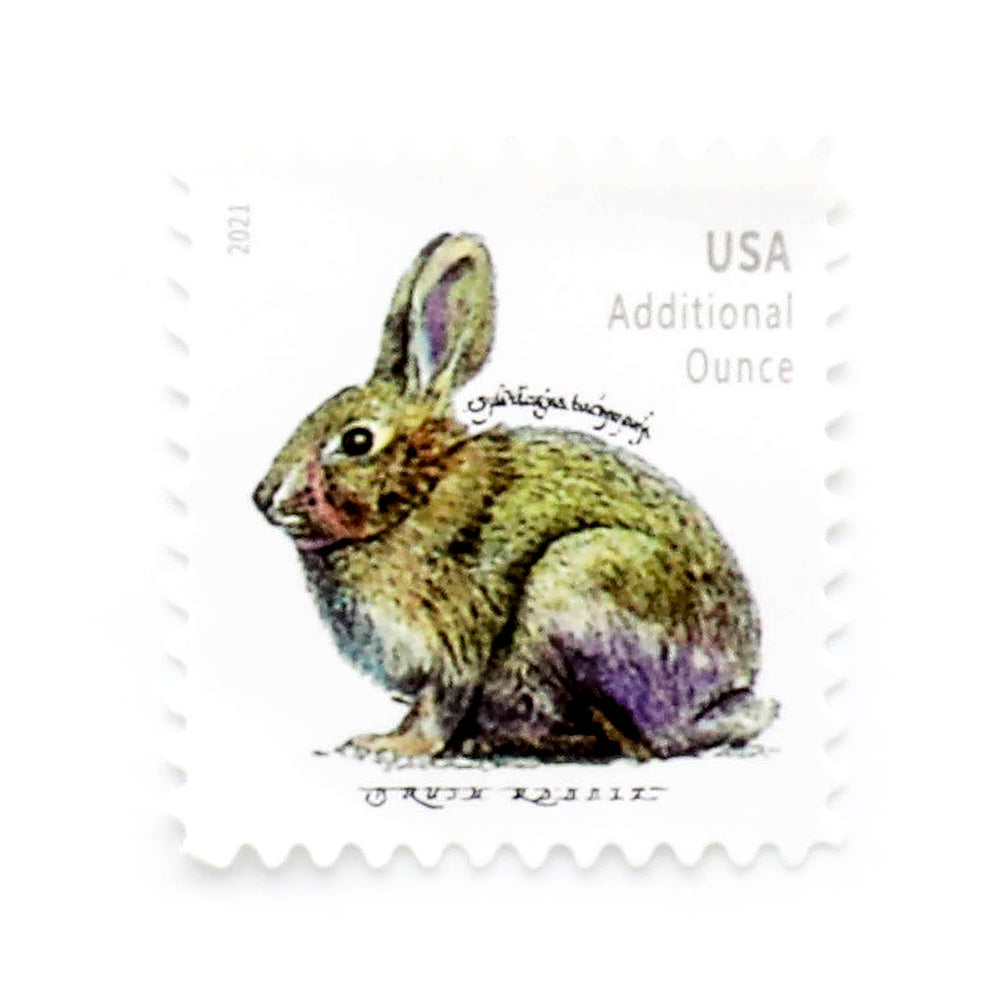 100Pcs 2021 20c Brush Rabbit (sheet stamp)