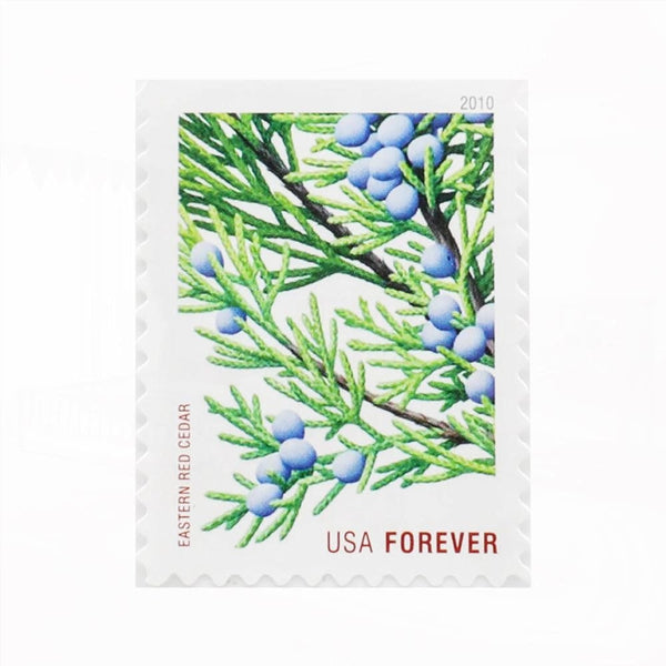 100Pcs 2010 Holiday Evergreens Forever First Class Postage Stamps