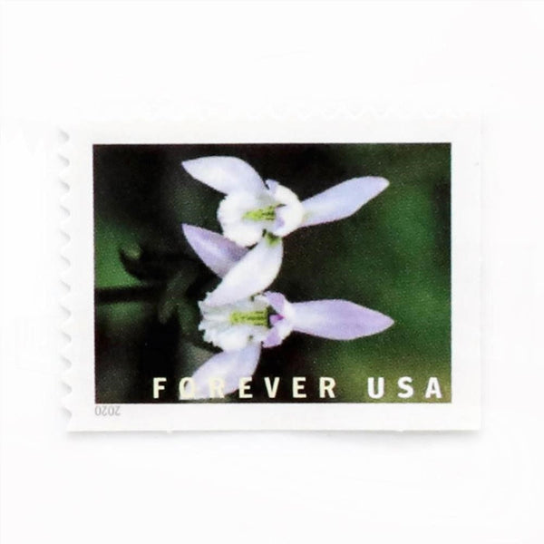 100Pcs U.S. 2021 Wild Orchids Framed Forever Stamps