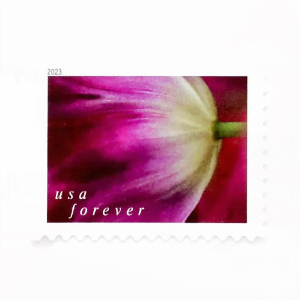 100Pcs 2023 US First-Class Forever Stamps - Tulip Blossoms booklet