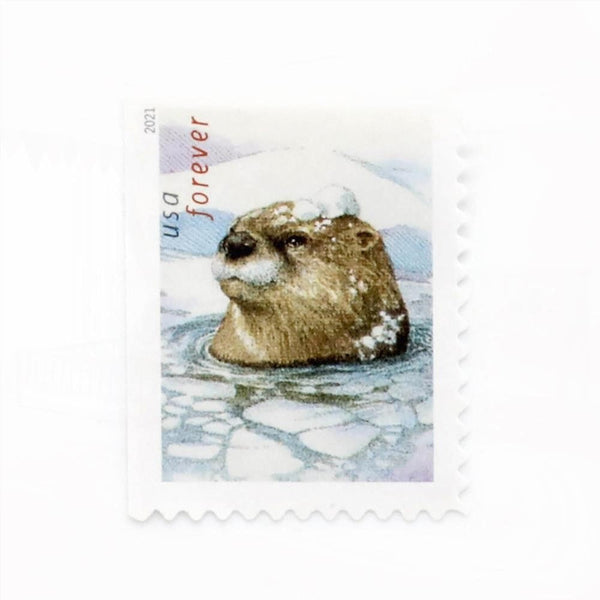 100Pcs US 2021 Otters in Snow Forever Stamps
