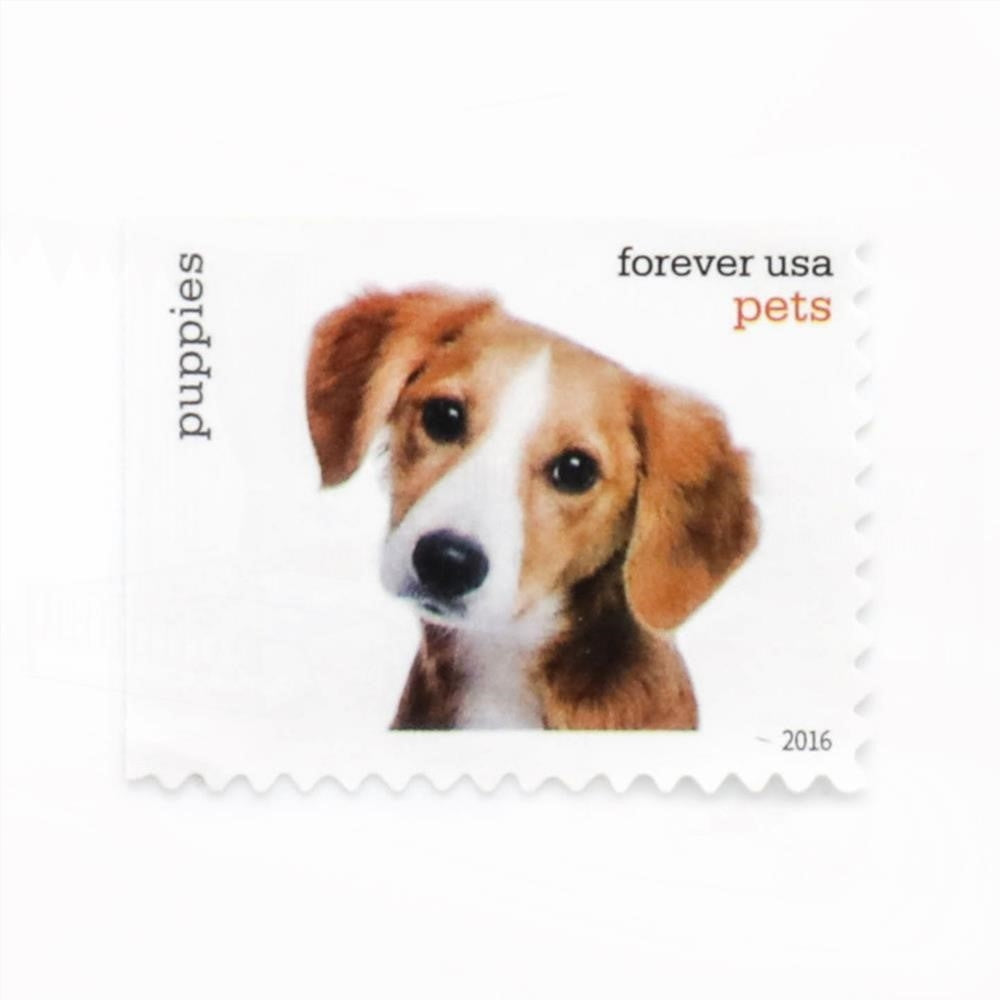 100Pcs 2016 US Pets Forever Stamps