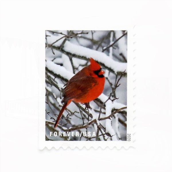 100Pcs 2020 US 'Winter Scenes' Forever Postage Stamps
