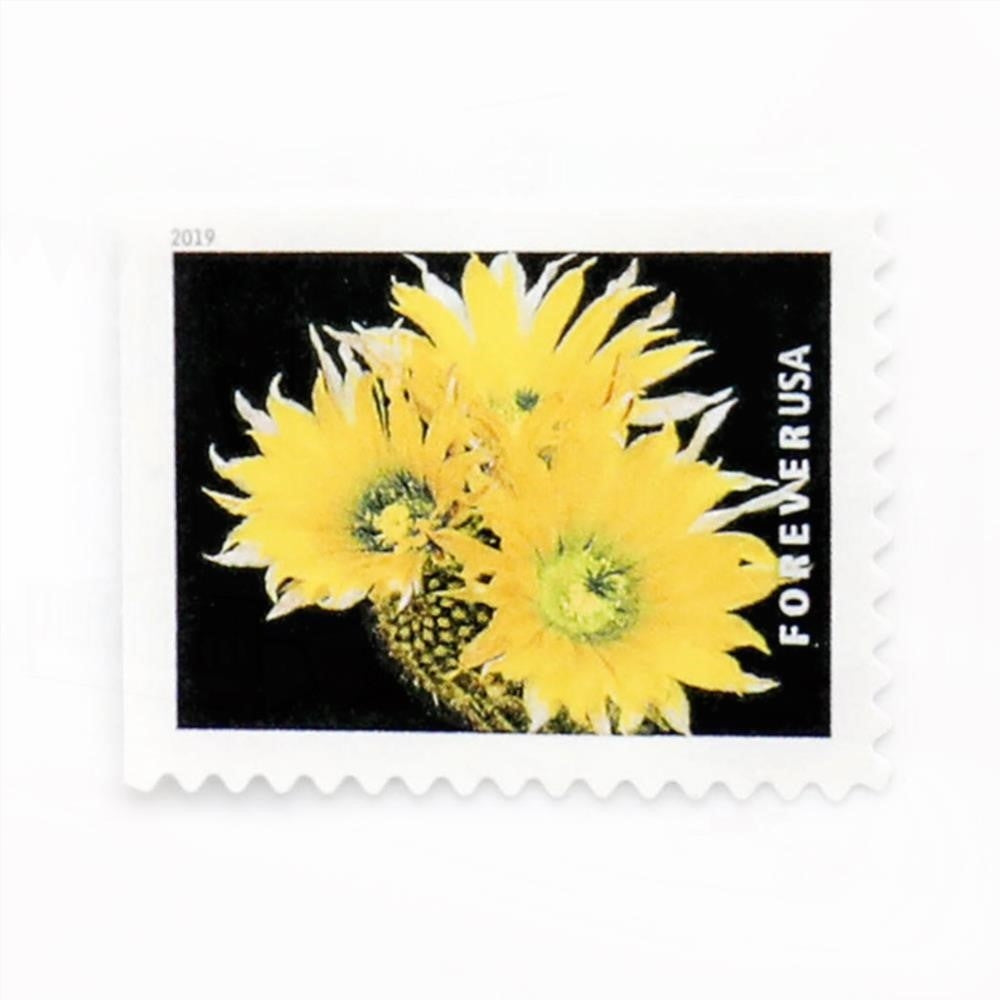100Pcs U.S. 2019 Cactus Forever Stamps