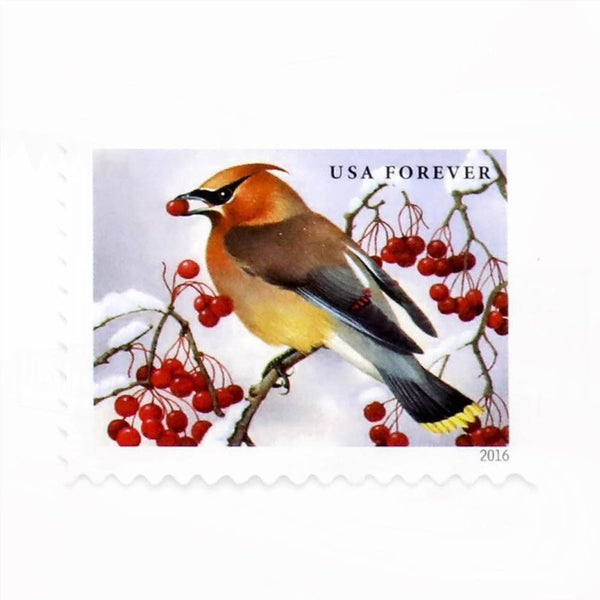 100Pcs 2016 US First-Class Forever Stamp - Songbirds in Snow