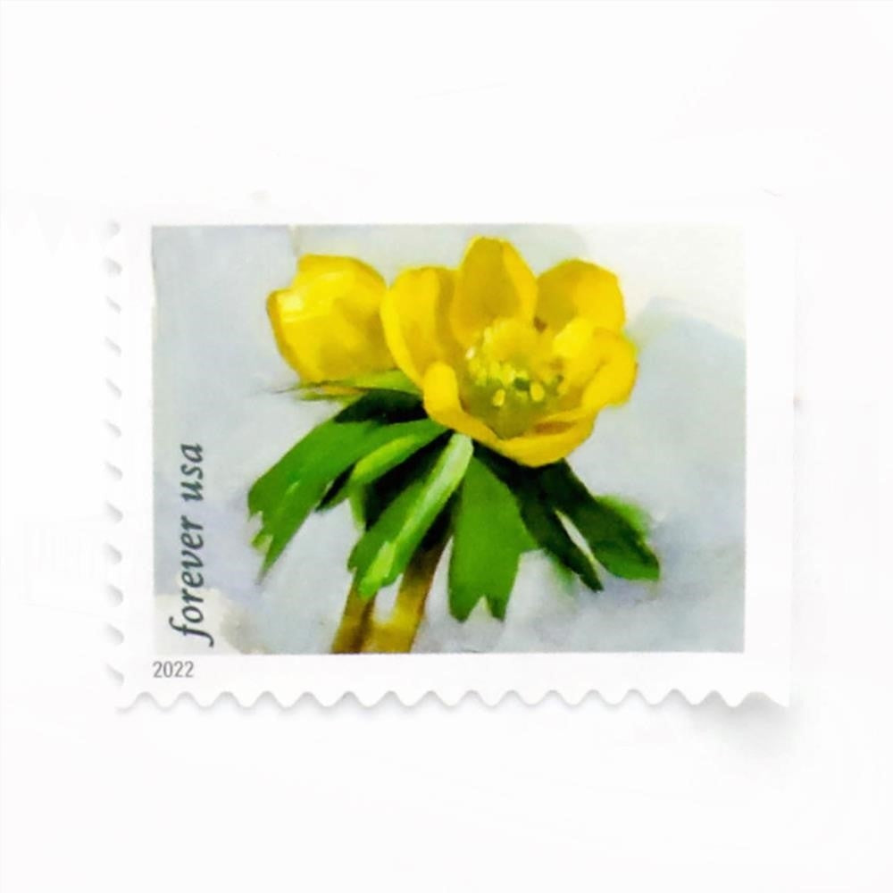 100Pcs 2022 First-Class Forever Stamp - Snowy Beauty: Winter Aconite