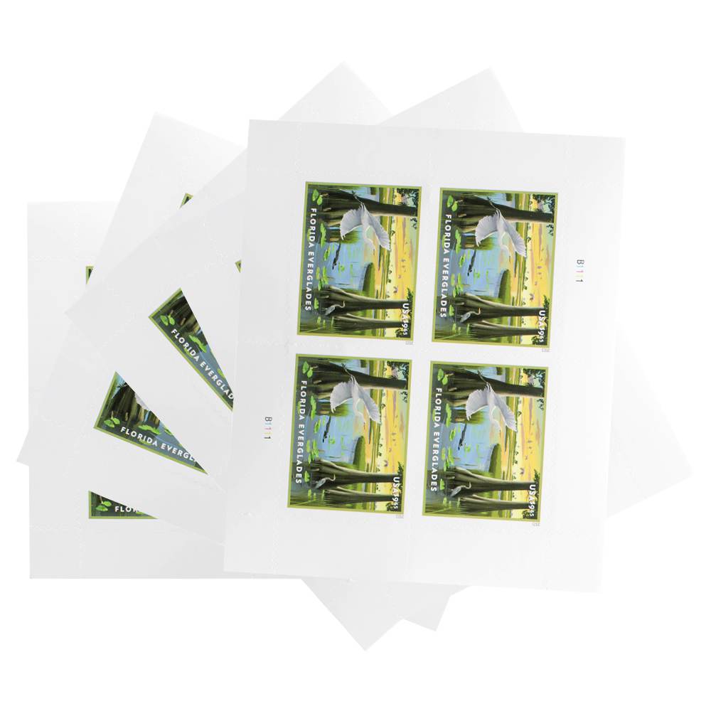 100Pcs US Florida Everglades MNH 2023 Priority Stamp