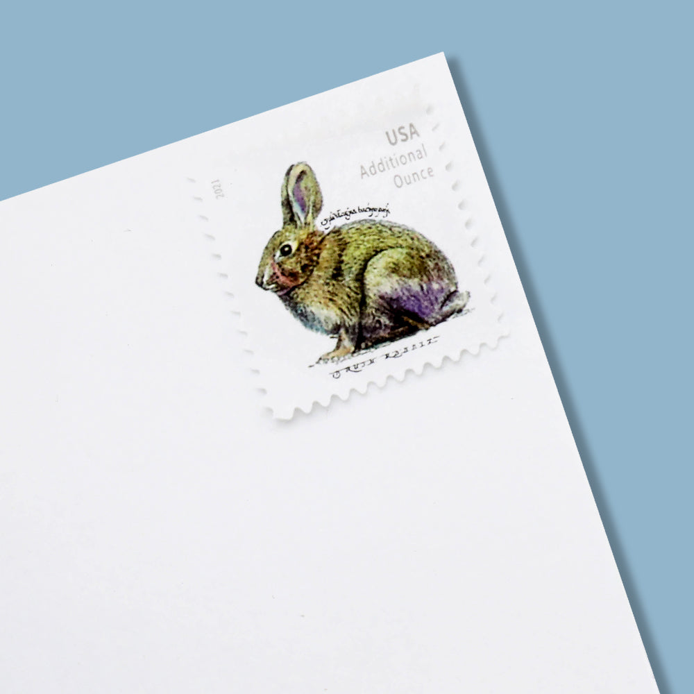 100Pcs 2021 20c Brush Rabbit (sheet stamp)